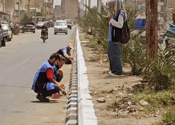 The article's picture is expressive