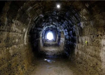 The article's picture is expressive