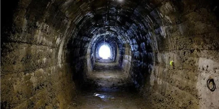 The article's picture is expressive