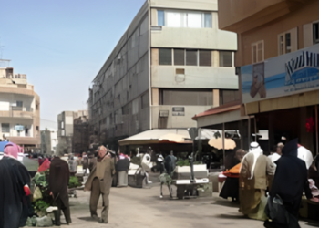 The article's picture is expressive