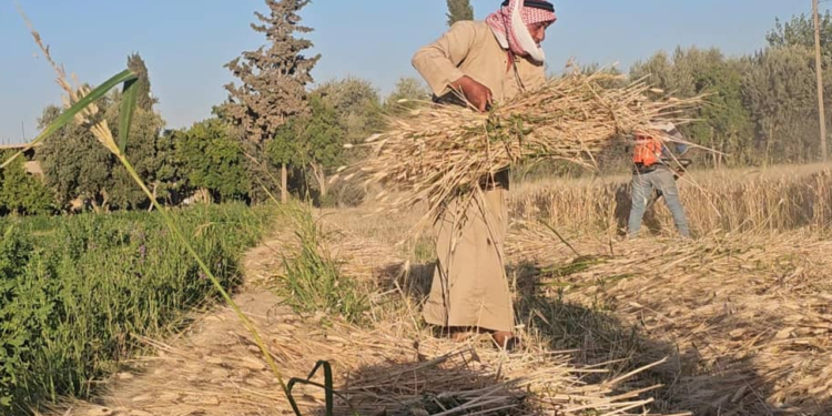 The article's picture is expressive