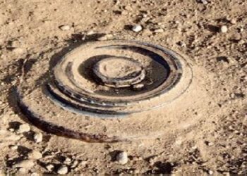 The article's picture is expressive