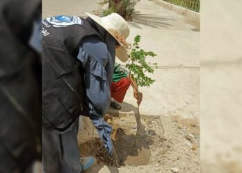 The article's picture is expressive