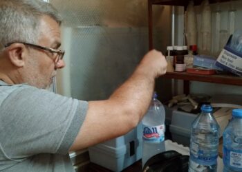 The article's picture is expressive