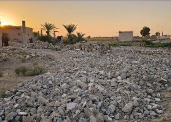 The article's picture is expressive