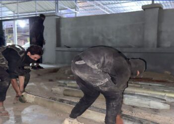 The article's picture is expressive