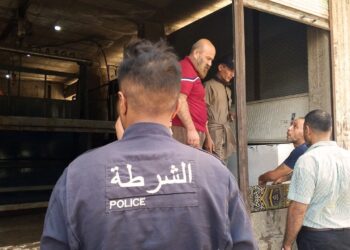 The article's picture is expressive