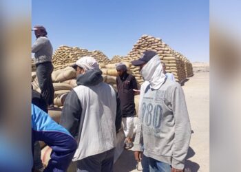 The article's picture is expressive