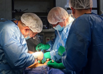 The article's picture is expressive