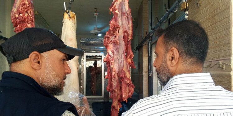 The article's picture is expressive