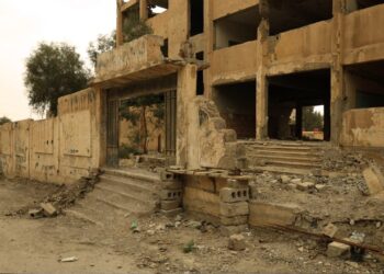 صورة المقال تعبيرية