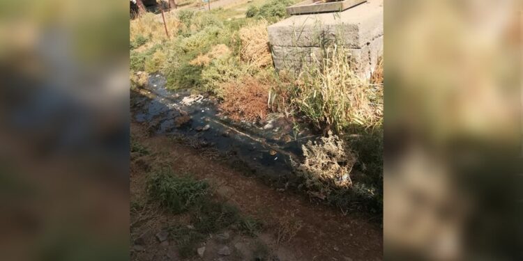 صورة المقال تعبيرية