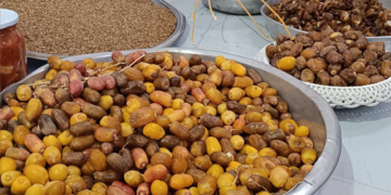 Director of Agriculture in Deir Ezzor Conducts Field Tour in Al-Bukamal in Preparation for the Date Festival