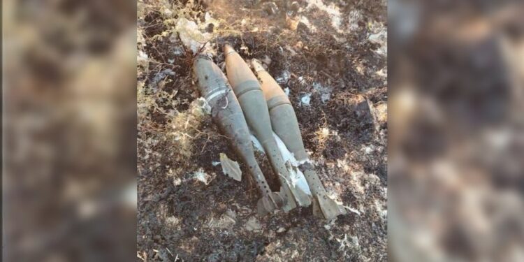 صورة المقال تعبيرية