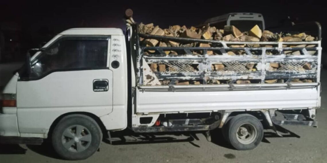 State Property Authority Strengthens Efforts to Protect Forests and Regulate Permits in Deir Ezzor