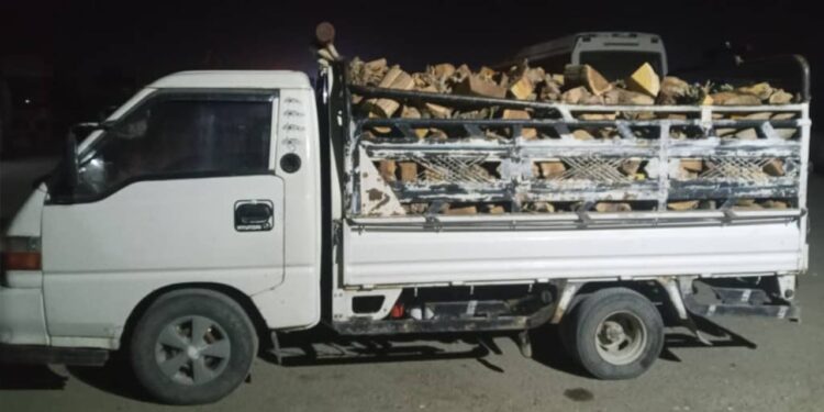 State Property Authority Strengthens Efforts to Protect Forests and Regulate Permits in Deir Ezzor