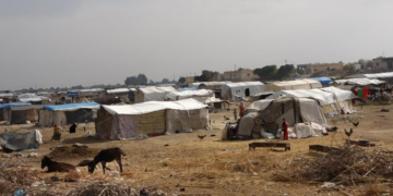 صورة المقال تعبيرية