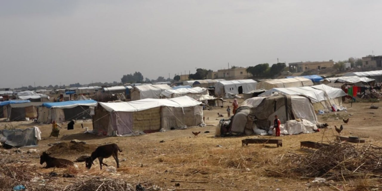 صورة المقال تعبيرية