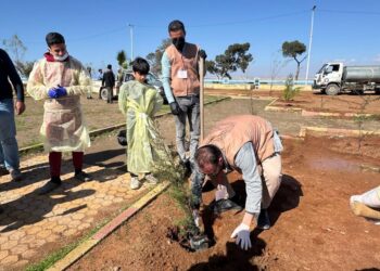 “Tabqa is our home.” A volunteer initiative to clean the city and plant trees