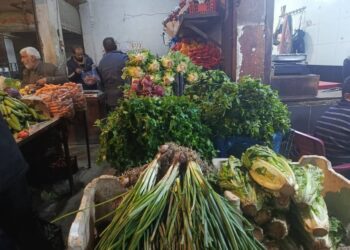 Rise in prices of vegetables and food supplies in Raqqa