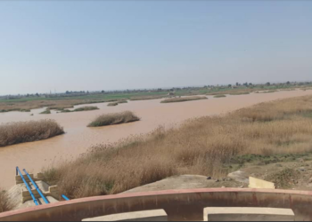 Service alert to ensure safe drinking water in Deir Ezzor after increase in turbidity