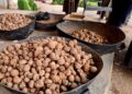 Truffle season in the Syrian desert… “a death journey” that threatens the lives of civilians
