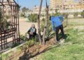 بدء أعمال صيانة وتأهيل الحدائق العامة في مدينة الرقة
