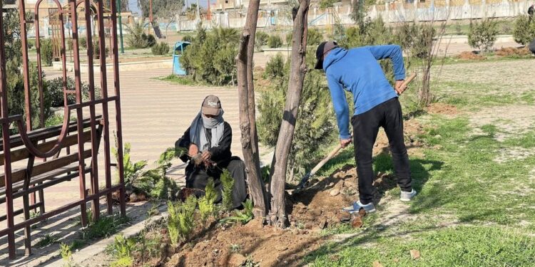 بدء أعمال صيانة وتأهيل الحدائق العامة في مدينة الرقة