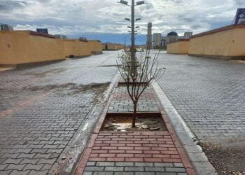 A project to rehabilitate the main street in Al-Mayadeen will be launched at the beginning of the fifth month