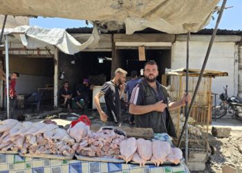 صورة المقال تعبيرية