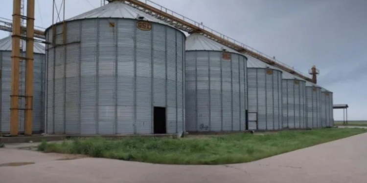 تأهيل صوامع الحسكة استعداداً لموسم القمح 2026