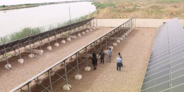 تركيب منظومة طاقة شمسية في محطة مياه الباغوز