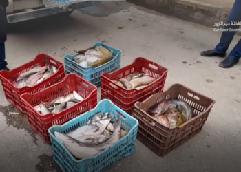 ضبط 150 كغ من الأسماك المخالفة في البوكمال بدير الزور