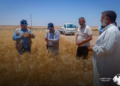 جولة ميدانية لـ”فاو” في المنصورة للاطلاع على واقع الزراعة والثروة الحيوانية في ريف الرقة