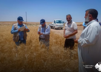 جولة ميدانية لـ”فاو” في المنصورة للاطلاع على واقع الزراعة والثروة الحيوانية في ريف الرقة