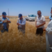 جولة ميدانية لـ”فاو” في المنصورة للاطلاع على واقع الزراعة والثروة الحيوانية في ريف الرقة