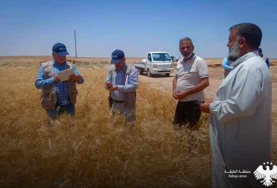 جولة ميدانية لـ”فاو” في المنصورة للاطلاع على واقع الزراعة والثروة الحيوانية في ريف الرقة