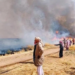 زراعة الحسكة تدعو المتضررين من حرائق المحاصيل لتقديم طلبات حصر الأضرار خلال أسبوع