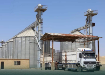 إعادة تأهيل صوامع الجرنية تعزز تسويق القمح