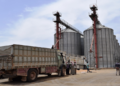 Al-Sakhrat silos receive more than 19.6 thousand tons of wheat in the Raqqa countryside
