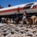 Thwarting the smuggling of a shipment of weapons, missiles and drones inside an oil tanker at the Al-Tanf border crossing