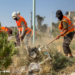 حملة “بأيدينا نخليها أجمل” تنطلق في دير الزور